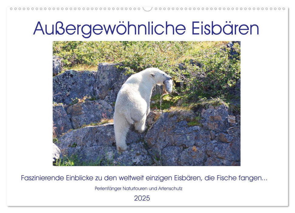 Das Leben der etwas "anderen" Eisbären! (CALVENDO Wandkalender 2025)