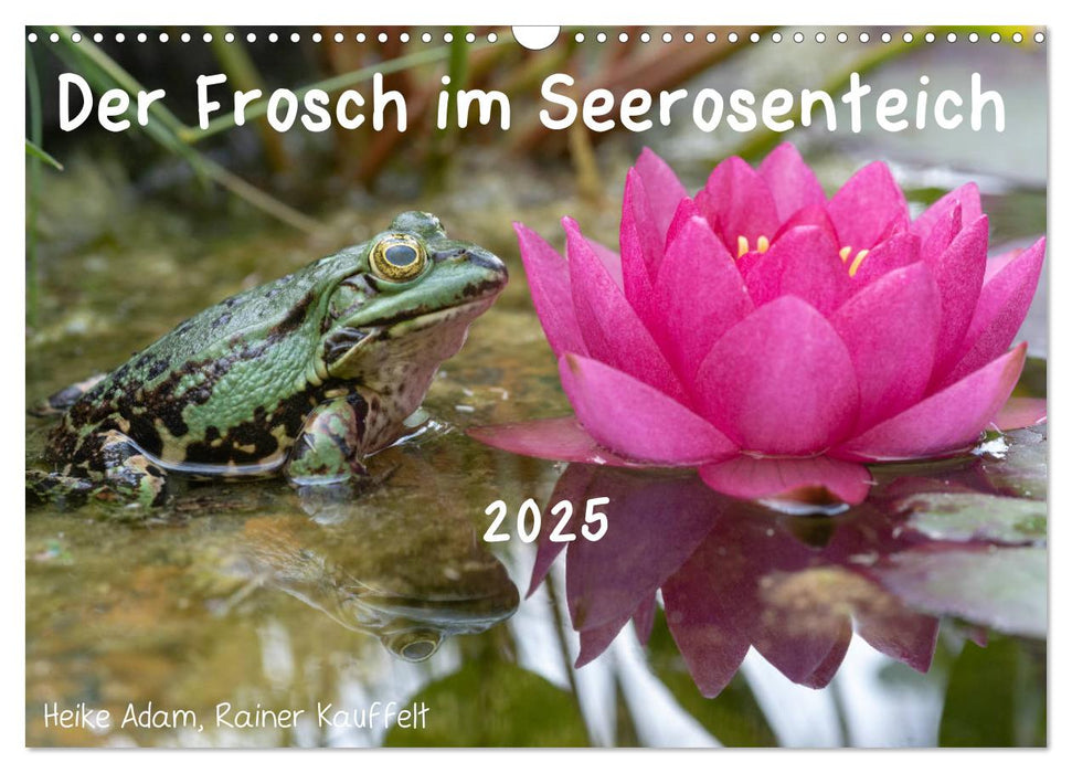 Der Frosch im Seerosenteich (CALVENDO Wandkalender 2025)