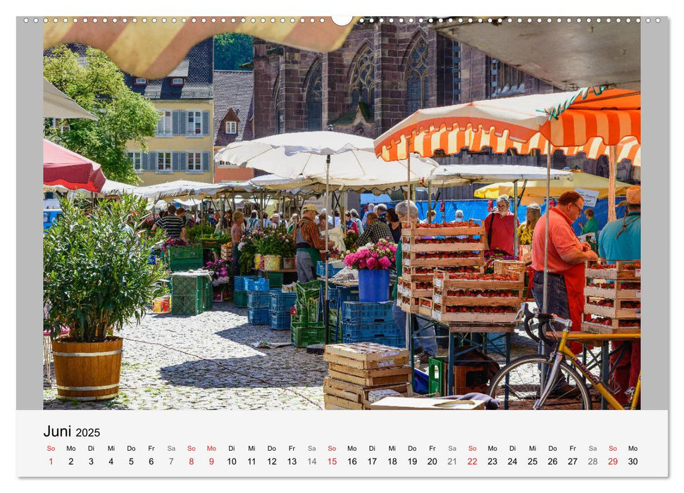 Freiburg im Breisgau. Malerische Stadt am Rande des Schwarzwaldes (CALVENDO Wandkalender 2025)