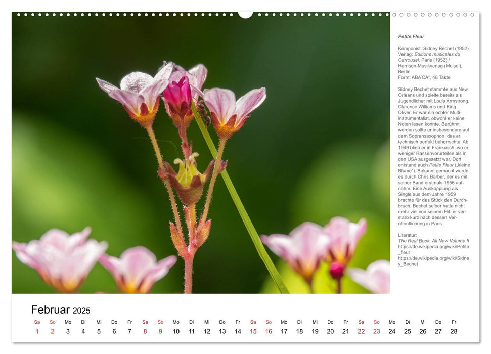 Honeysuckle Rose - Jazz-Standards ins Bild gesetzt (CALVENDO Premium Wandkalender 2025)