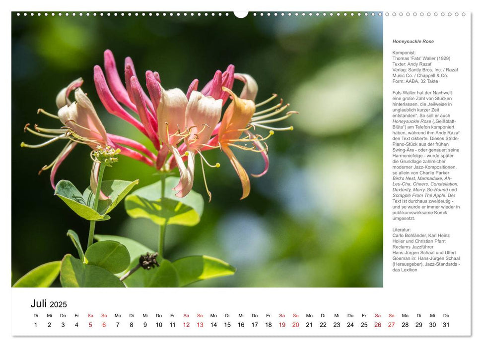 Honeysuckle Rose - Jazz-Standards ins Bild gesetzt (CALVENDO Premium Wandkalender 2025)