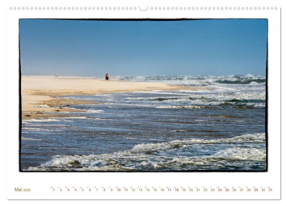 Amrum, inspirierende Landschaft (CALVENDO Premium Wandkalender 2025)