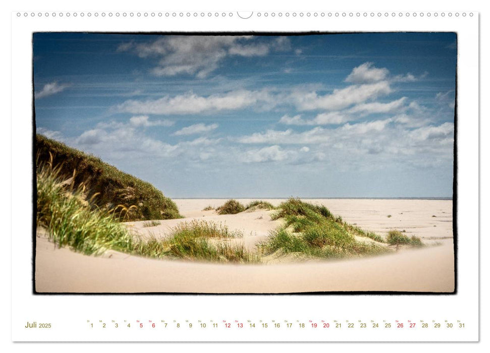 Amrum, inspirierende Landschaft (CALVENDO Premium Wandkalender 2025)