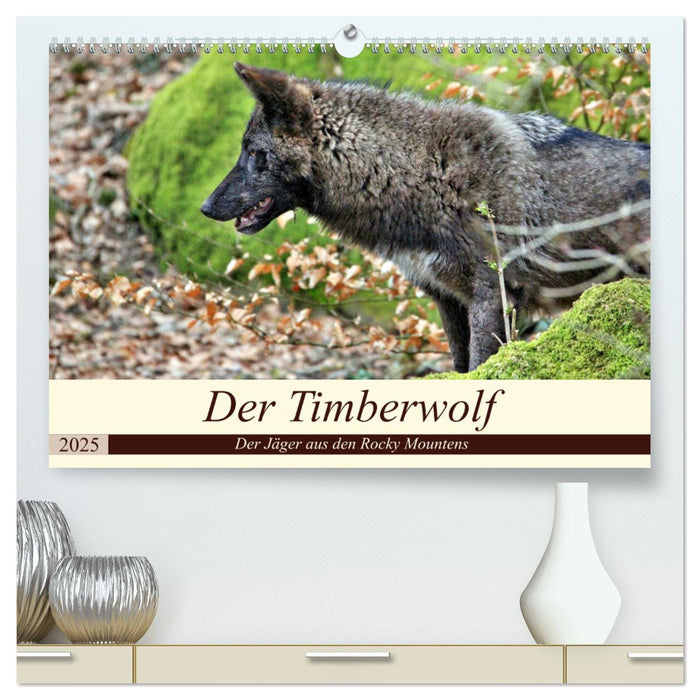 Der Timberwolf - Der Jäger aus den Rocky Mountains (CALVENDO Premium Wandkalender 2025)