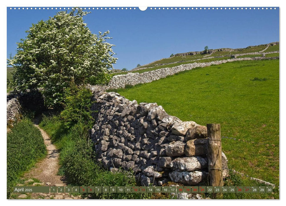 Yorkshire Dales, eine Landschaft zum Träumen (CALVENDO Premium Wandkalender 2025)