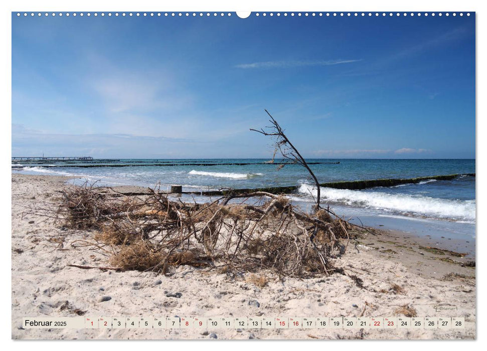 Ostseebad Wustrow Küstenimpressionen (CALVENDO Premium Wandkalender 2025)