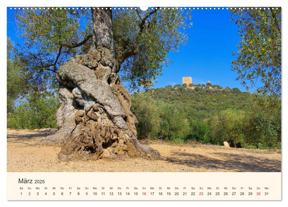 Costa Dorada - Die Goldene Küste Spaniens (CALVENDO Wandkalender 2025)