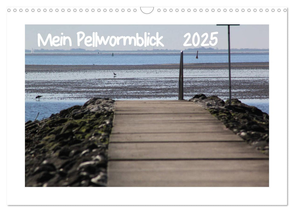 Mein Pellwormblick (CALVENDO Wandkalender 2025)