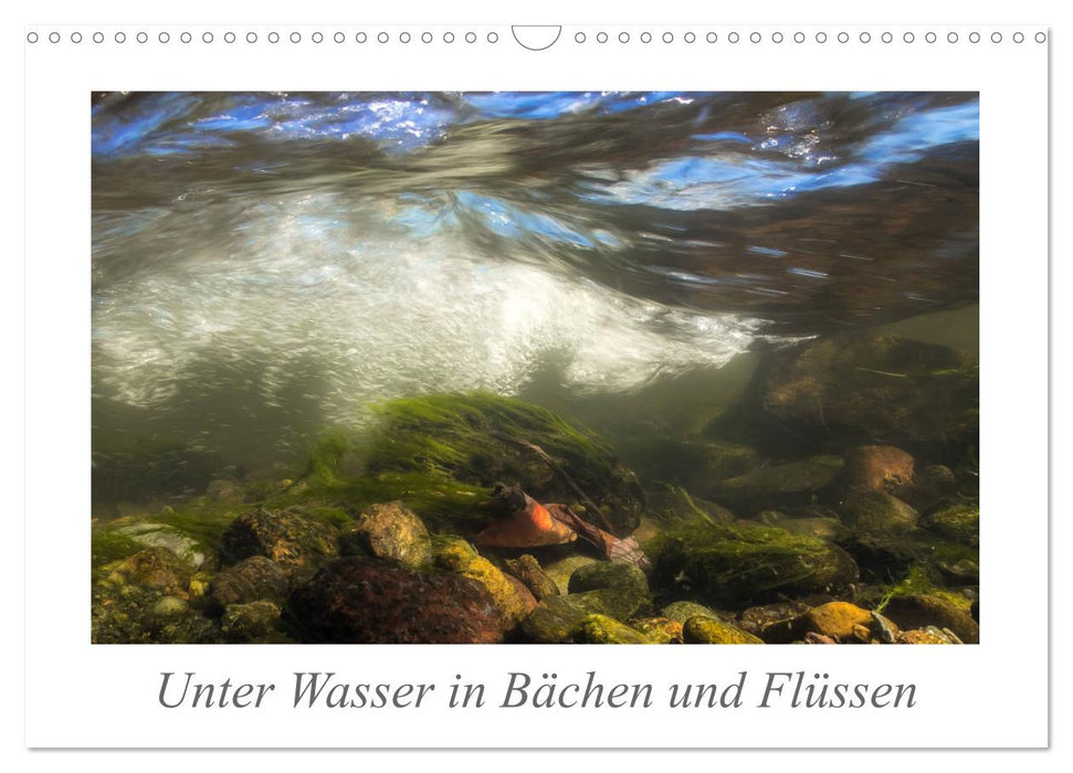 Unter Wasser in Bächen und Flüssen (CALVENDO Wandkalender 2025)