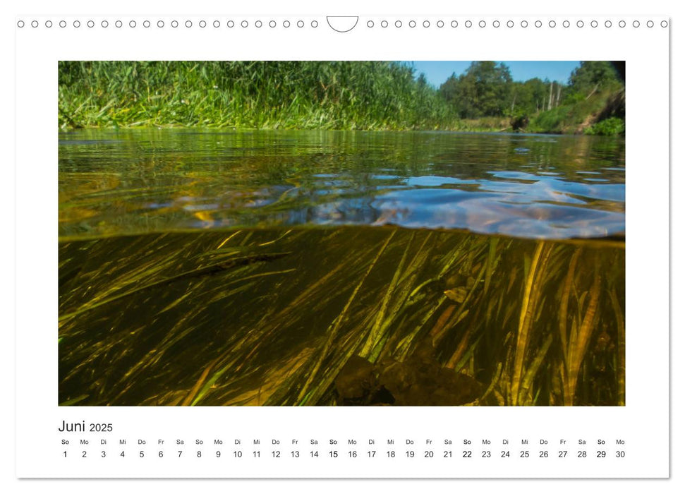 Unter Wasser in Bächen und Flüssen (CALVENDO Wandkalender 2025)