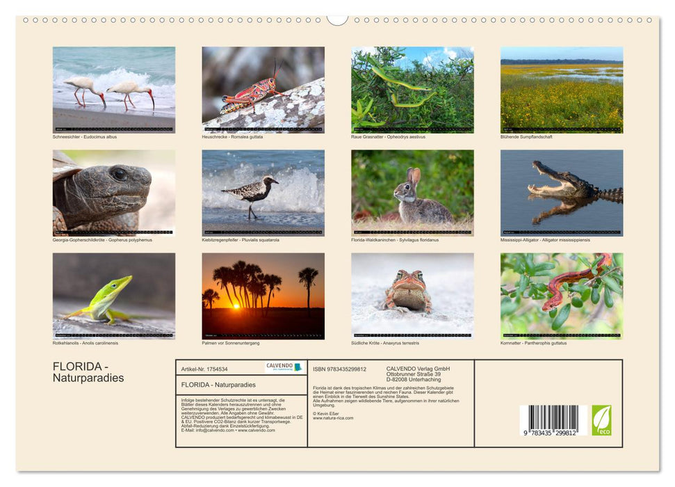 FLORIDA - Naturparadies (CALVENDO Premium Wandkalender 2025)