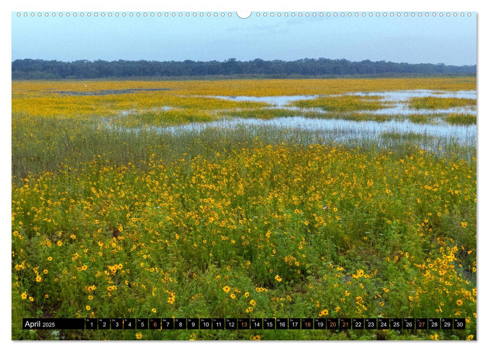 FLORIDA - Naturparadies (CALVENDO Premium Wandkalender 2025)