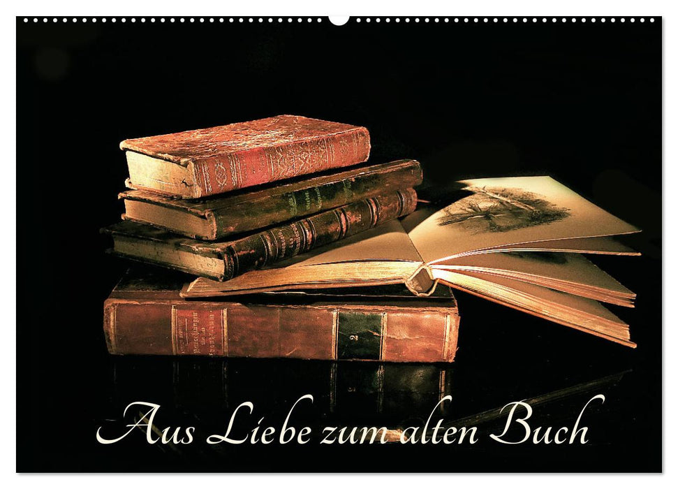 Aus Liebe zu alten Büchern (CALVENDO Wandkalender 2025)