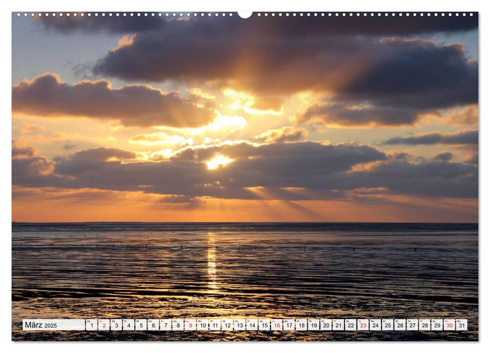 Norddeutsche Landschaften (CALVENDO Premium Wandkalender 2025)