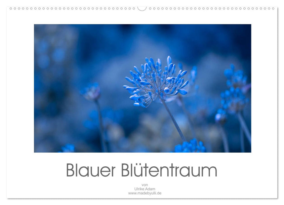 Blauer Blütentraum (CALVENDO Wandkalender 2025)