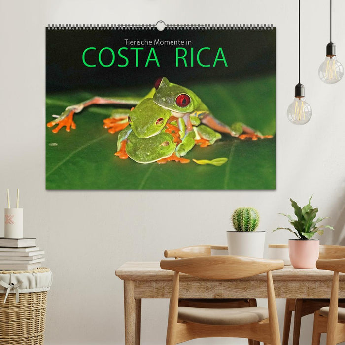 COSTA RICA - Tierische Momente (CALVENDO Wandkalender 2025)