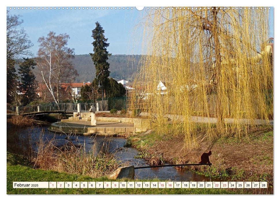 Bad Dürkheim Ein Stadtspaziergang (CALVENDO Premium Wandkalender 2025)