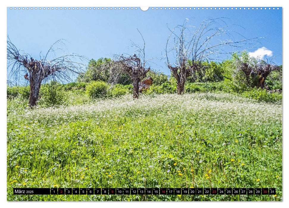 Himachal Pradesh - Bezaubernde Bergwelt im Himalaya (CALVENDO Premium Wandkalender 2025)