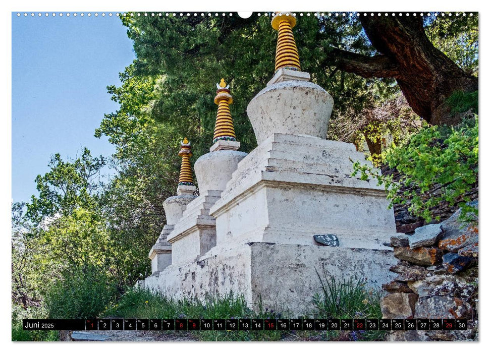 Himachal Pradesh - Bezaubernde Bergwelt im Himalaya (CALVENDO Premium Wandkalender 2025)