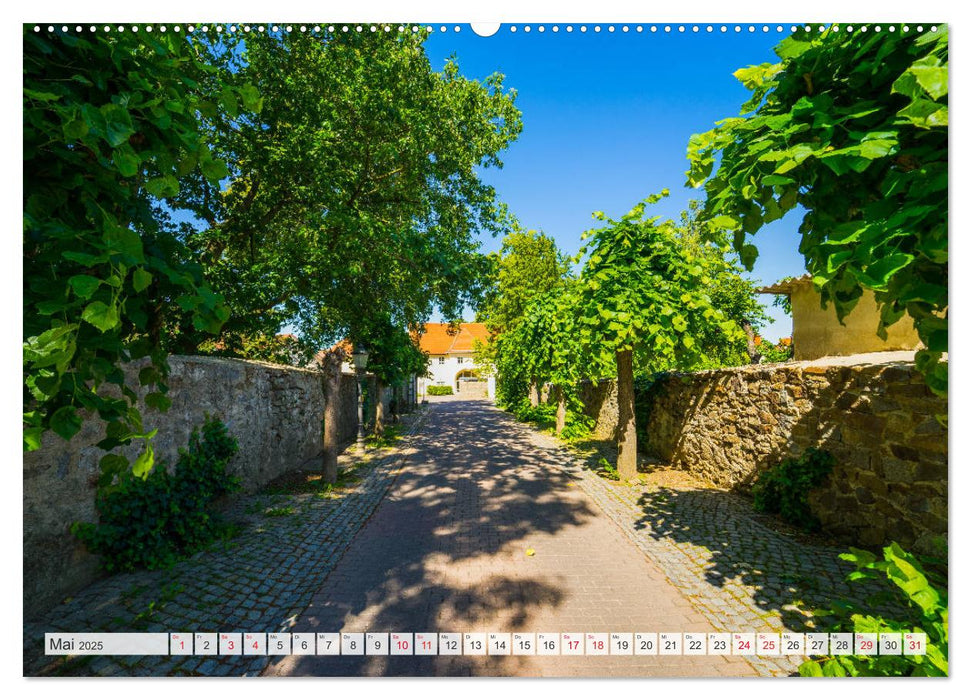 Pulsnitz Impressionen (CALVENDO Premium Wandkalender 2025)