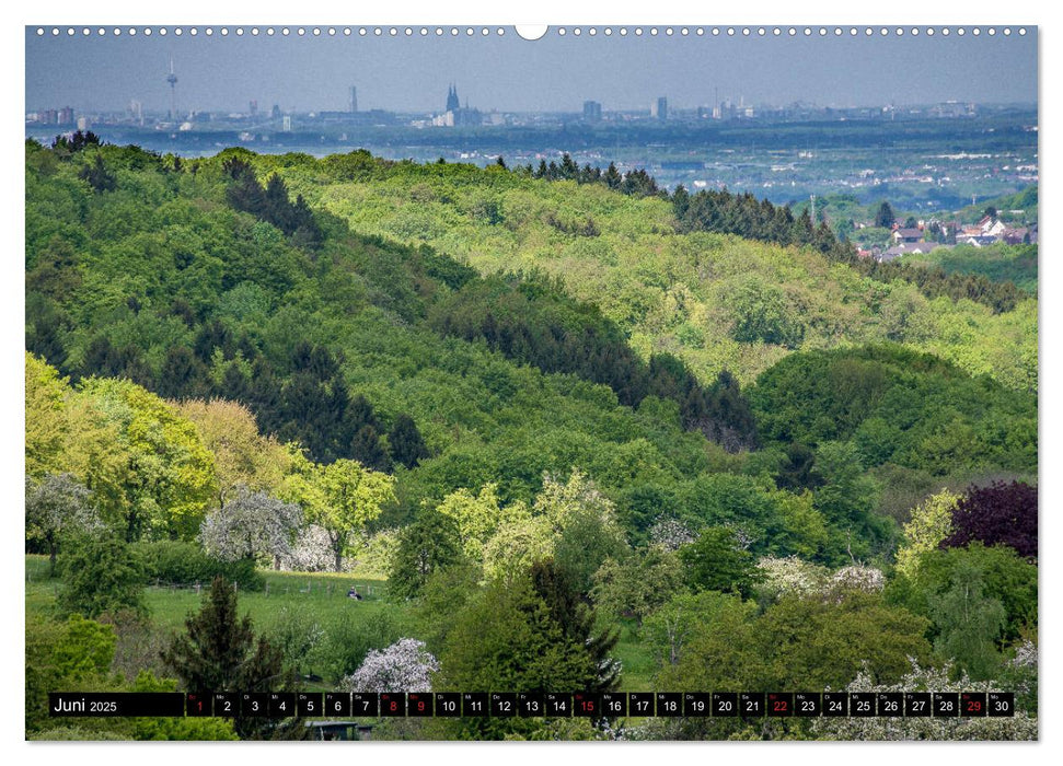 Das Rheinland - Zwischen Düsseldorf und Linz (CALVENDO Premium Wandkalender 2025)