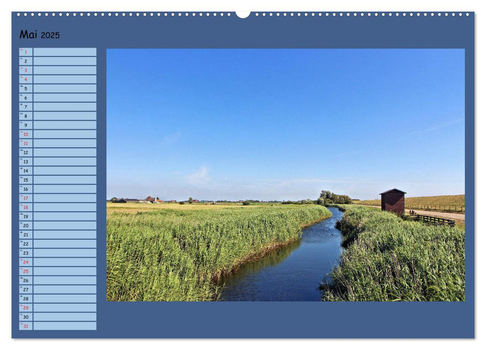 Faszinierendes Friesland (CALVENDO Premium Wandkalender 2025)