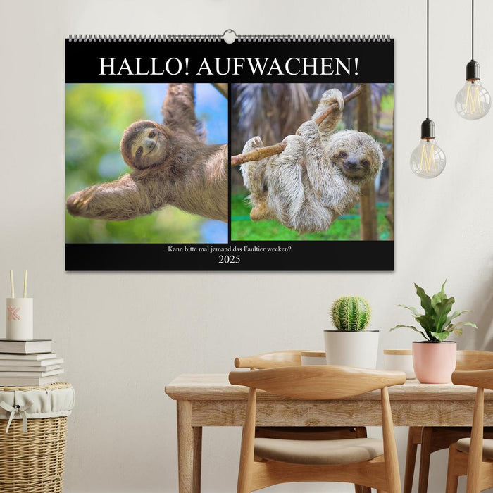 Hallo! Aufwachen! Kann bitte mal jemand das Faultier wecken? (CALVENDO Wandkalender 2025)