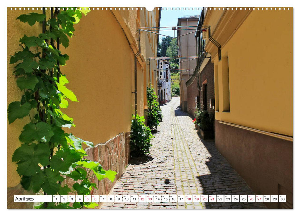 Bingen am Rhein vom Frankfurter Taxifahrer Petrus Bodenstaff (CALVENDO Premium Wandkalender 2025)