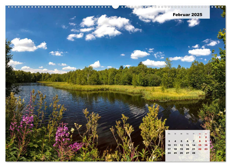 Rhöner Röschen - ein Sommermärchen in der Hochrhön (CALVENDO Premium Wandkalender 2025)