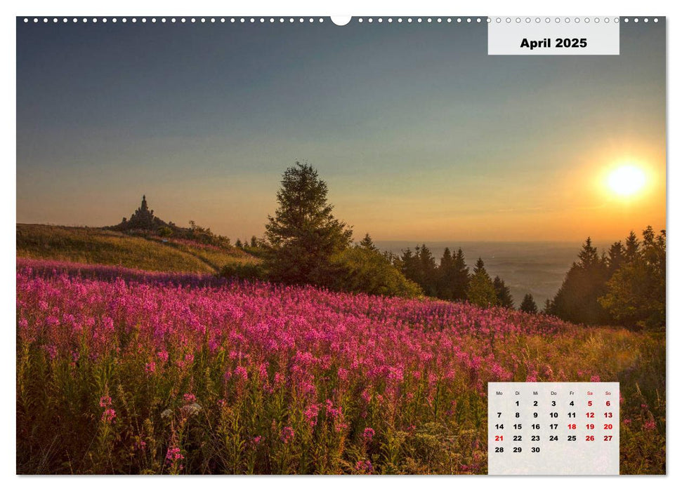 Rhöner Röschen - ein Sommermärchen in der Hochrhön (CALVENDO Premium Wandkalender 2025)