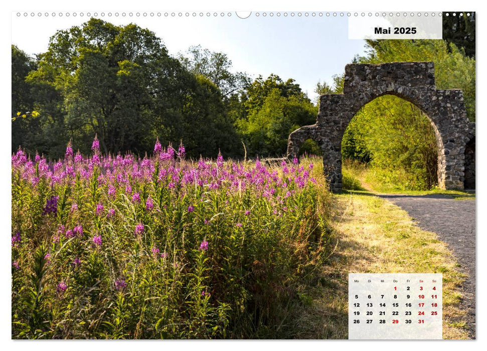 Rhöner Röschen - ein Sommermärchen in der Hochrhön (CALVENDO Premium Wandkalender 2025)