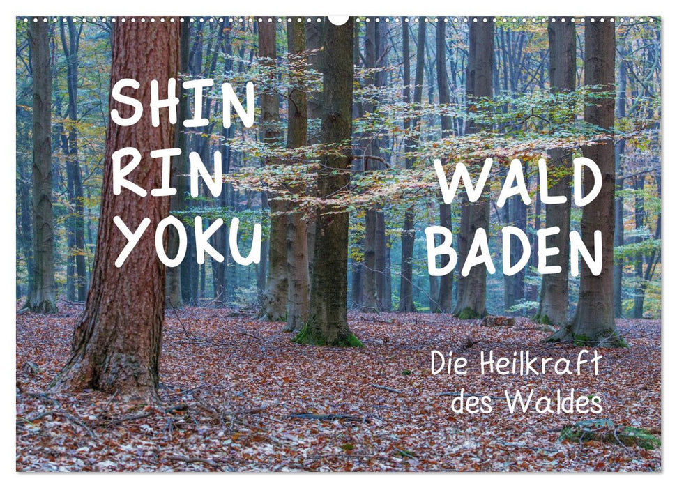 Shinrin yoku - Waldbaden 2025 (CALVENDO Wandkalender 2025)