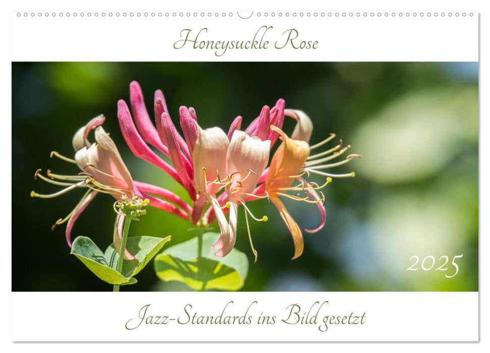 Honeysuckle Rose - Jazz-Standards ins Bild gesetzt (CALVENDO Wandkalender 2025)