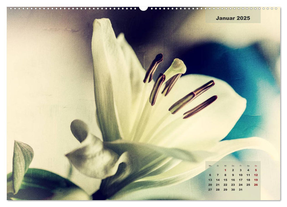 Blüten im Retro-Style (CALVENDO Premium Wandkalender 2025)