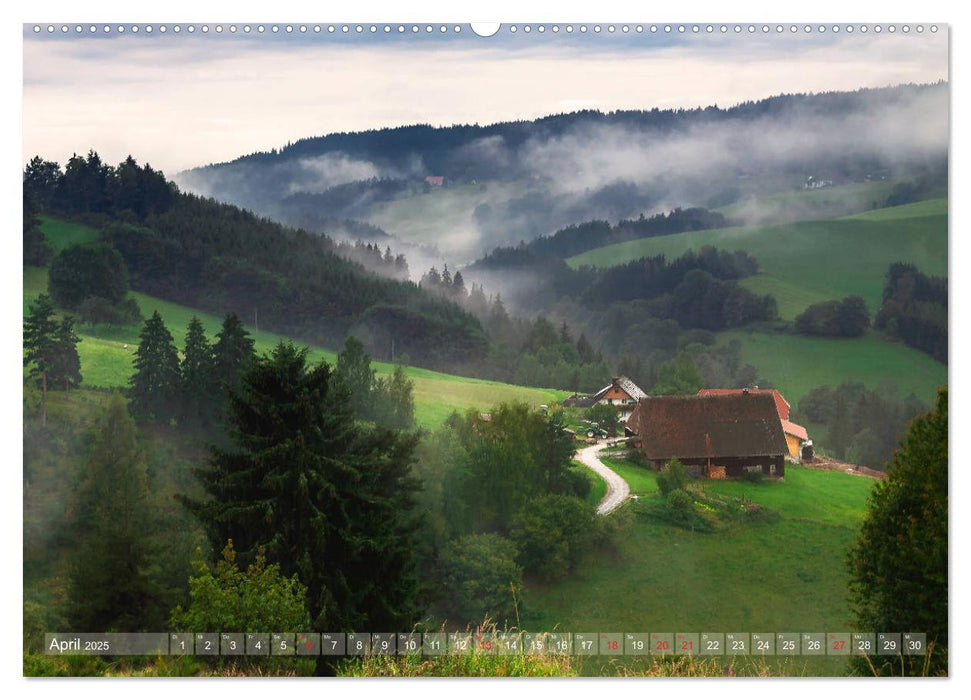 Schwarzwald (CALVENDO Premium Wandkalender 2025)