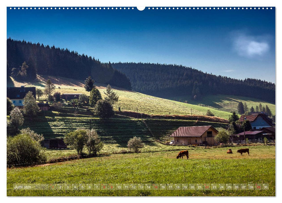 Schwarzwald (CALVENDO Premium Wandkalender 2025)