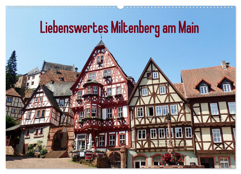 Liebenswertes Miltenberg am Main (CALVENDO Wandkalender 2025)