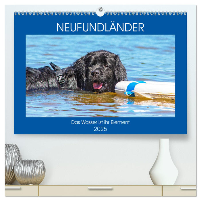 Neufundländer - Das Wasser ist ihr Element (CALVENDO Premium Wandkalender 2025)