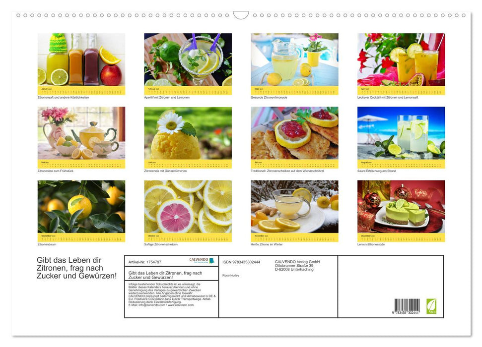 Gibt das Leben dir Zitronen, frag nach Zucker und Gewürzen! (CALVENDO Wandkalender 2025)
