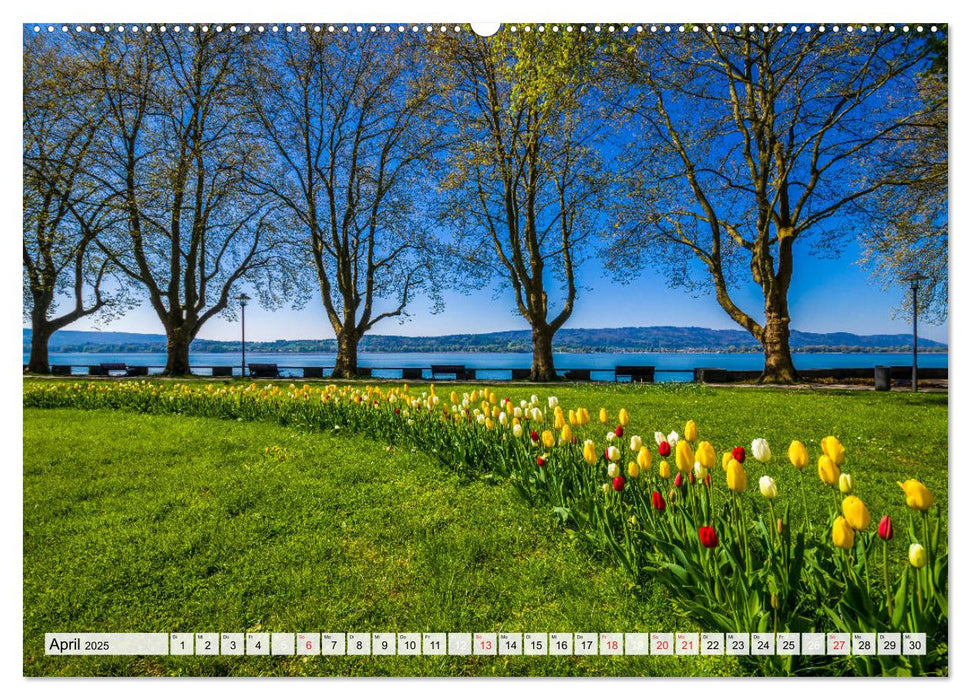 Auszeit Bodensee (CALVENDO Premium Wandkalender 2025)