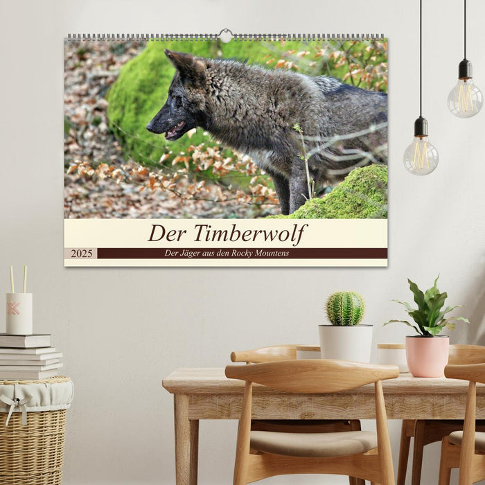 Der Timberwolf - Der Jäger aus den Rocky Mountains (CALVENDO Wandkalender 2025)