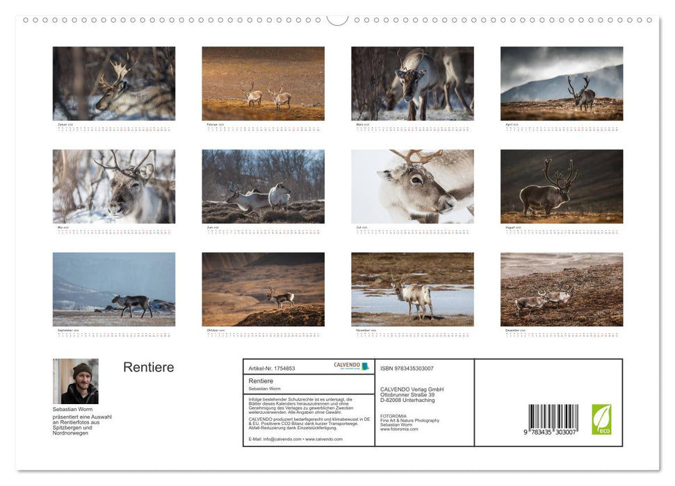 Rentiere (CALVENDO Premium Wandkalender 2025)