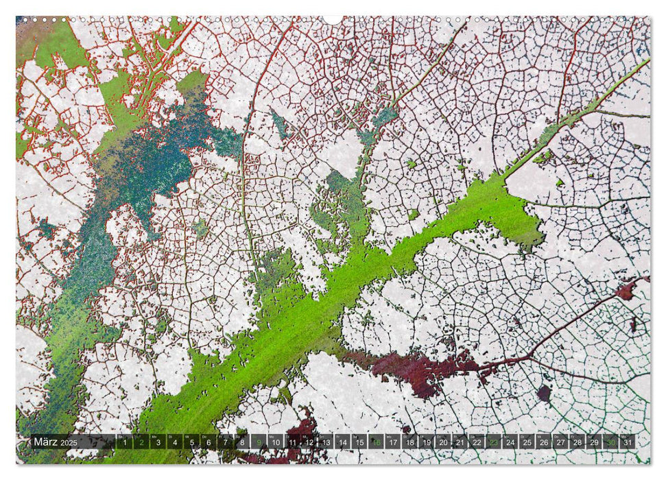 Ein abgefallenes Blatt kehrt nicht zum Baum zurück … (CALVENDO Premium Wandkalender 2025)