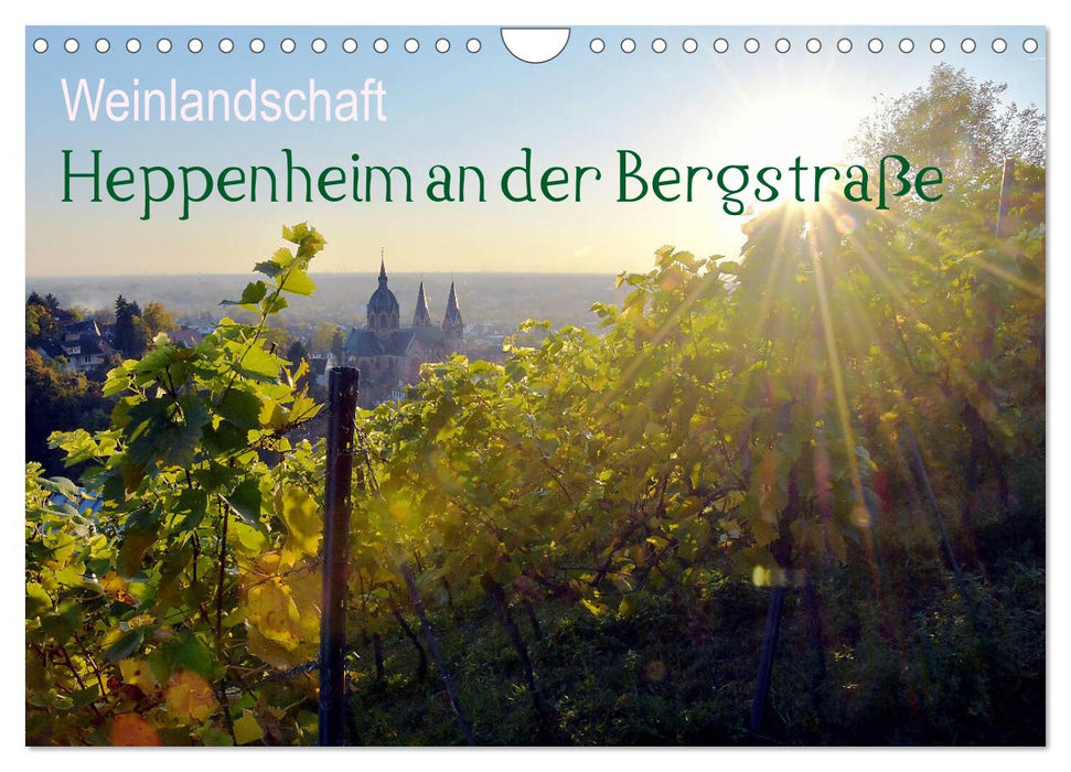 Weinlandschaft - Heppenheim an der Bergstraße (CALVENDO Wandkalender 2025)