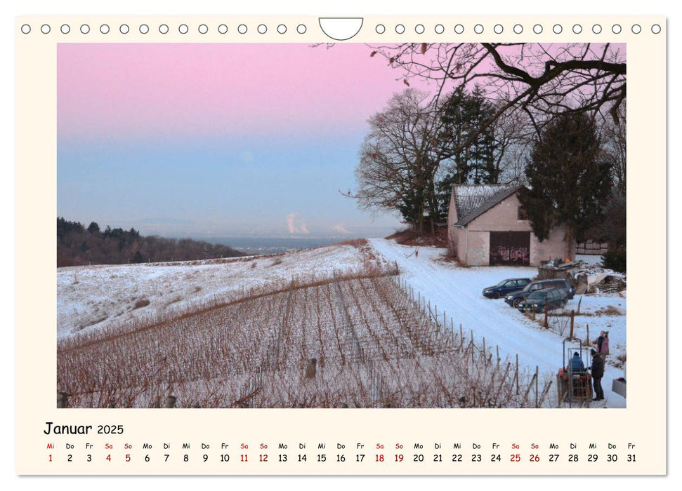 Weinlandschaft - Heppenheim an der Bergstraße (CALVENDO Wandkalender 2025)