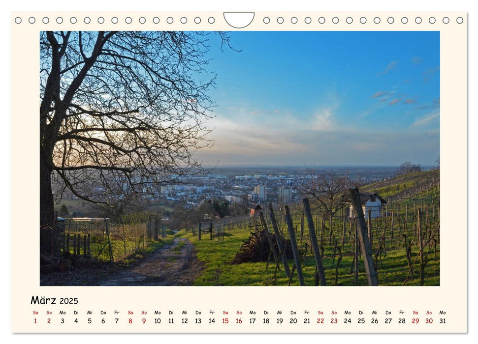 Weinlandschaft - Heppenheim an der Bergstraße (CALVENDO Wandkalender 2025)