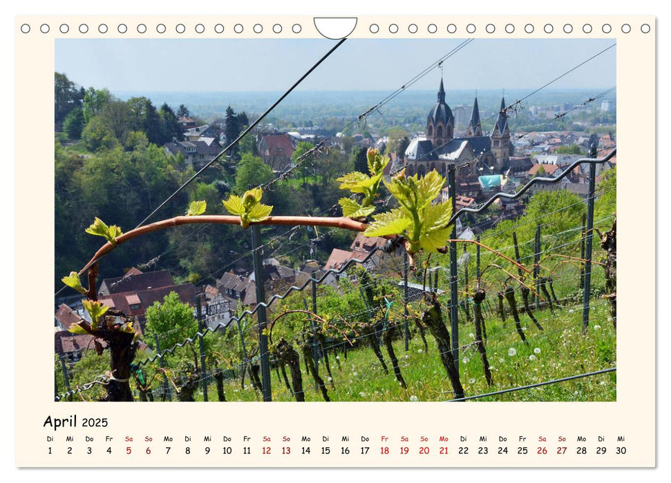 Weinlandschaft - Heppenheim an der Bergstraße (CALVENDO Wandkalender 2025)