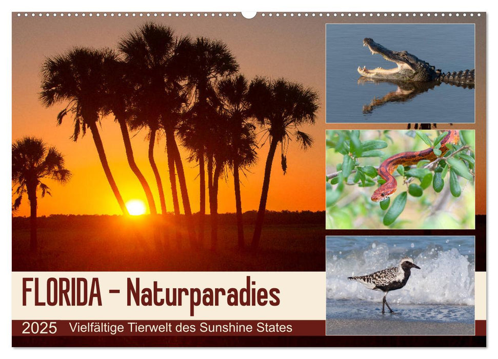 FLORIDA - Naturparadies (CALVENDO Wandkalender 2025)