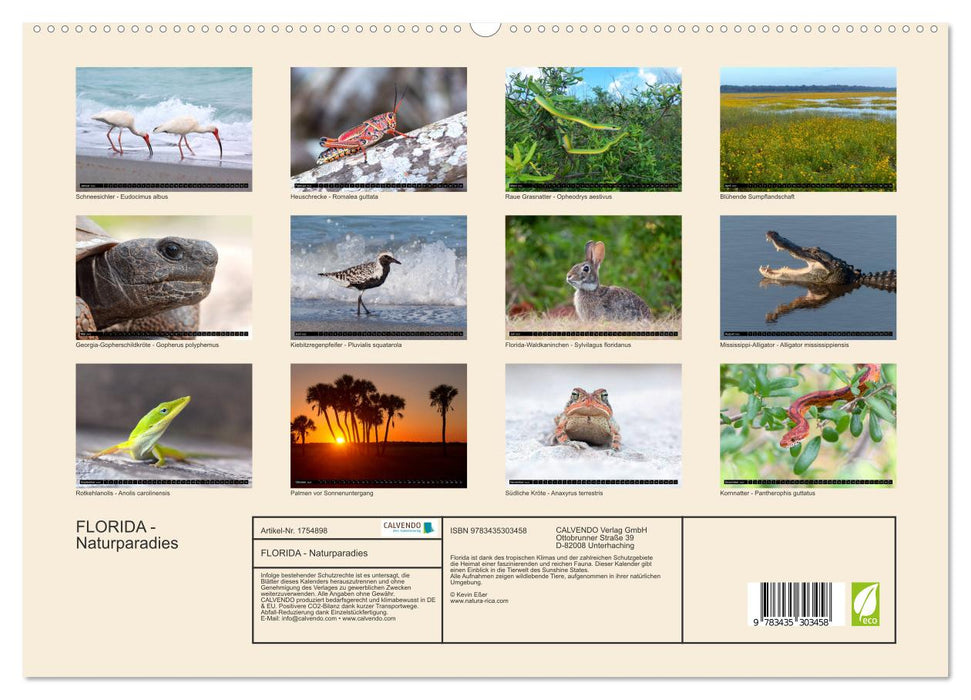 FLORIDA - Naturparadies (CALVENDO Wandkalender 2025)