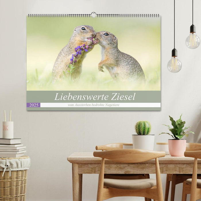 Liebenswerte Ziesel - vom Aussterben bedrohte Nagetiere (CALVENDO Wandkalender 2025)